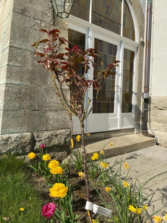 Parkhotel Bad Harzburg Εξωτερικό φωτογραφία